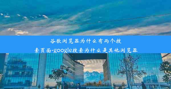 谷歌浏览器为什么有两个搜索页面-google搜索为什么是其他浏览器