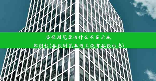 谷歌浏览器为什么不显示底部图标(谷歌浏览器顶上没有谷歌标志)