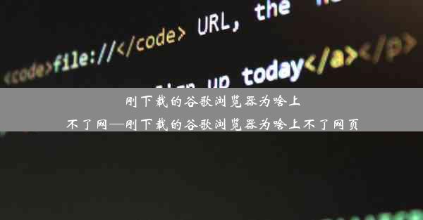 刚下载的谷歌浏览器为啥上不了网—刚下载的谷歌浏览器为啥上不了网页