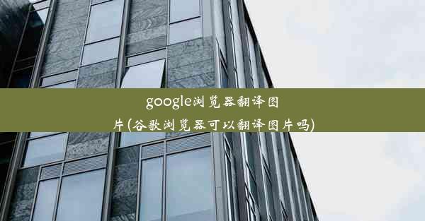 google浏览器翻译图片(谷歌浏览器可以翻译图片吗)