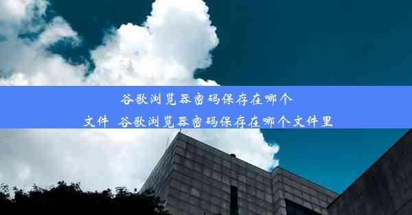 谷歌浏览器密码保存在哪个文件_谷歌浏览器密码保存在哪个文件里