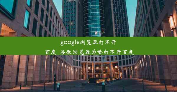 google浏览器打不开百度_谷歌浏览器为啥打不开百度