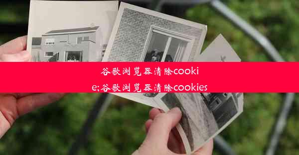 谷歌浏览器清除cookie;谷歌浏览器清除cookies