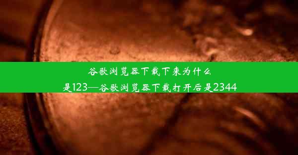 谷歌浏览器下载下来为什么是123—谷歌浏览器下载打开后是2344