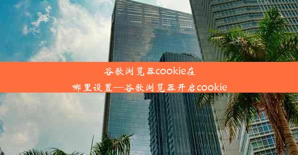 谷歌浏览器cookie在哪里设置—谷歌浏览器开启cookie