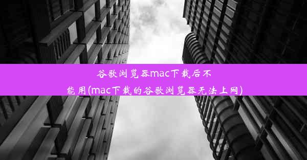 谷歌浏览器mac下载后不能用(mac下载的谷歌浏览器无法上网)