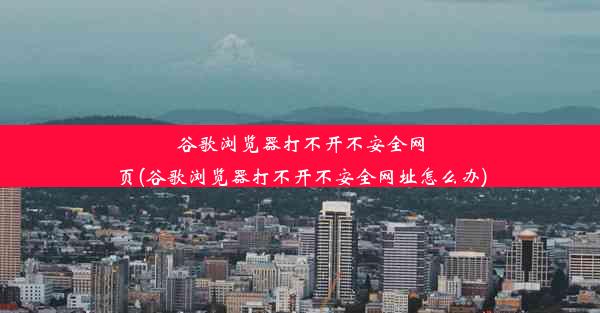 谷歌浏览器打不开不安全网页(谷歌浏览器打不开不安全网址怎么办)