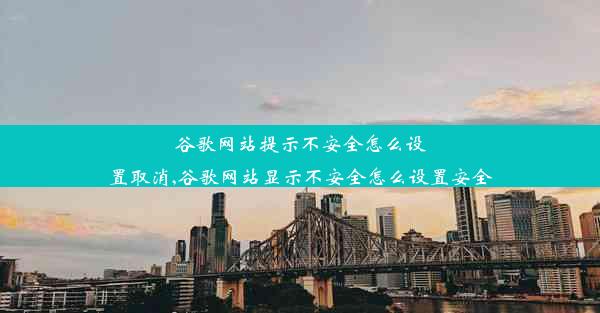 谷歌网站提示不安全怎么设置取消,谷歌网站显示不安全怎么设置安全