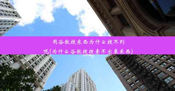 用谷歌搜东西为什么搜不到呢(为什么谷歌搜搜索不出来东西)