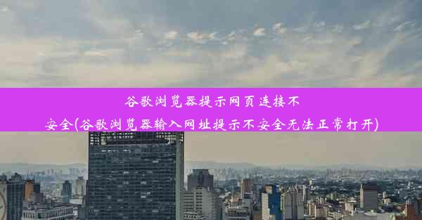 谷歌浏览器提示网页连接不安全(谷歌浏览器输入网址提示不安全无法正常打开)