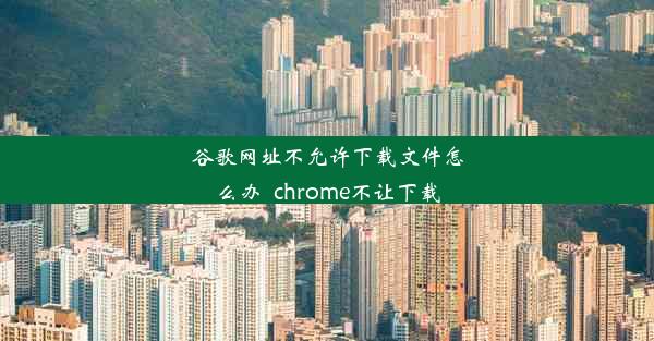 谷歌网址不允许下载文件怎么办_chrome不让下载