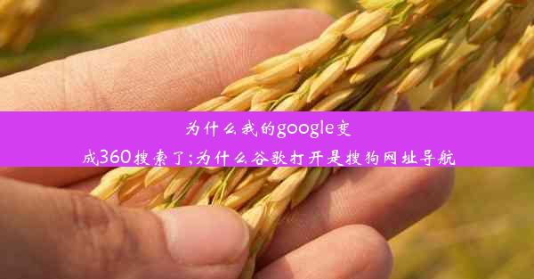 为什么我的google变成360搜索了;为什么谷歌打开是搜狗网址导航