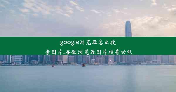 google浏览器怎么搜索图片,谷歌浏览器图片搜索功能