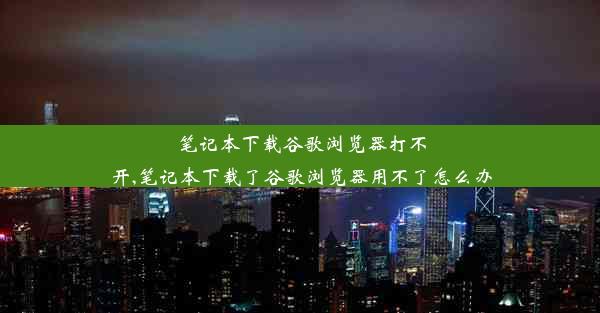 笔记本下载谷歌浏览器打不开,笔记本下载了谷歌浏览器用不了怎么办