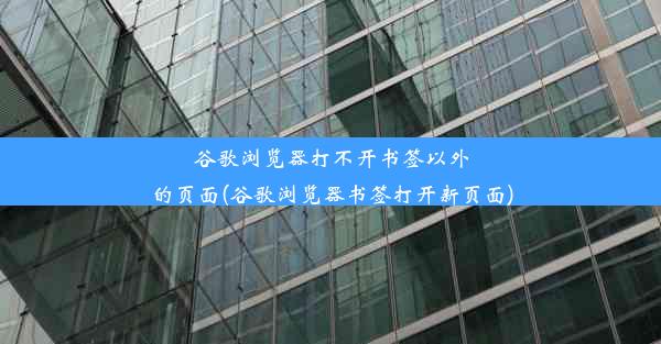 谷歌浏览器打不开书签以外的页面(谷歌浏览器书签打开新页面)