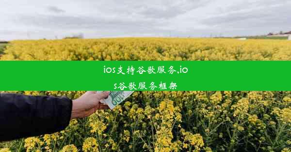 ios支持谷歌服务,ios谷歌服务框架