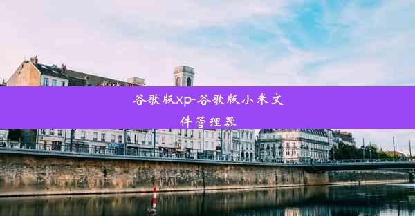 谷歌版xp-谷歌版小米文件管理器