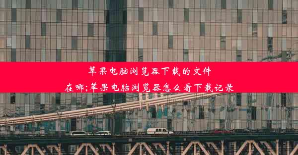 苹果电脑浏览器下载的文件在哪;苹果电脑浏览器怎么看下载记录