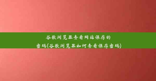 谷歌浏览器查看网站保存的密码(谷歌浏览器如何查看保存密码)