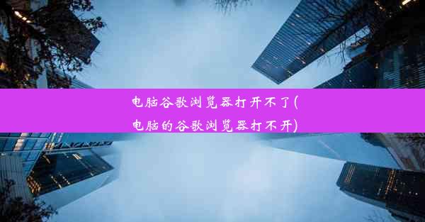 电脑谷歌浏览器打开不了(电脑的谷歌浏览器打不开)