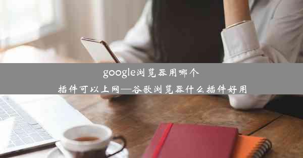 google浏览器用哪个插件可以上网—谷歌浏览器什么插件好用