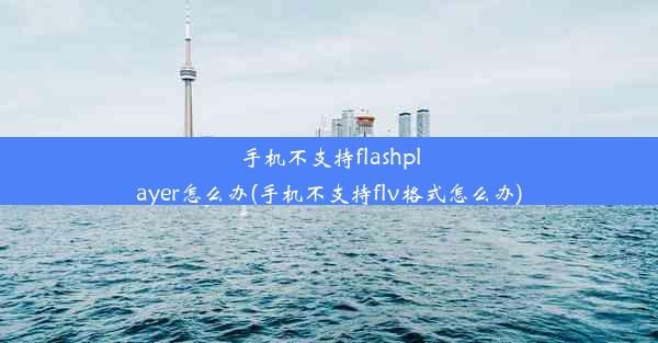 手机不支持flashplayer怎么办(手机不支持flv格式怎么办)