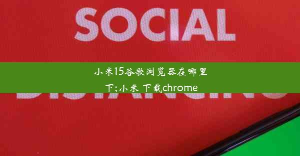 小米15谷歌浏览器在哪里下;小米 下载chrome